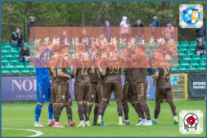 世界杯竞猜网站选择时要注意哪些海外平台的潜在风险？