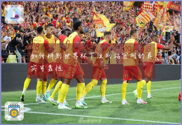 如何辨别世界杯下注网站官网的真实可靠性