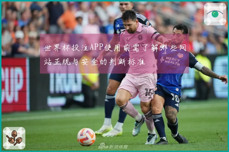 世界杯投注APP使用前需了解哪些网站正规与安全的判断标准
