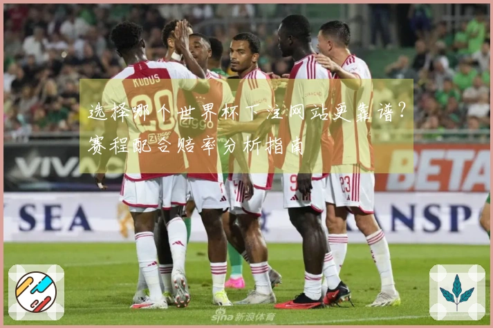 选择哪个世界杯下注网站更靠谱？赛程配合赔率分析指南