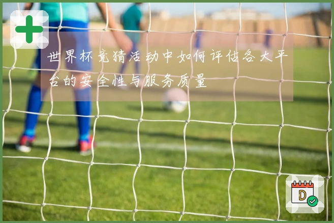 世界杯竞猜活动中如何评估各大平台的安全性与服务质量