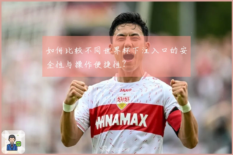 如何比较不同世界杯下注入口的安全性与操作便捷性?