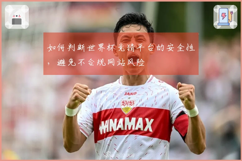 如何判断世界杯竞猜平台的安全性,避免不合规网站风险