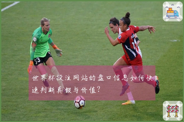 世界杯投注网站的盘口信息如何快速判断真假与价值?