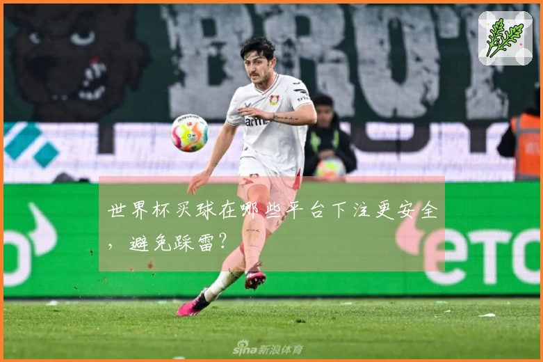 世界杯买球在哪些平台下注更安全，避免踩雷？