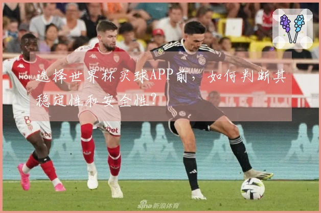 选择世界杯买球APP前，如何判断其稳定性和安全性？