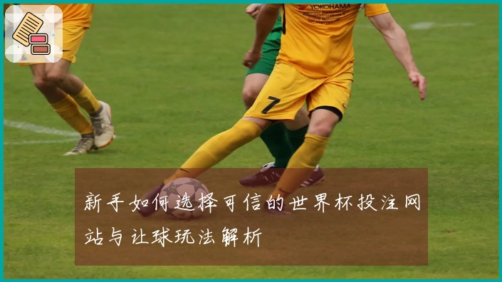 新手如何选择可信的世界杯投注网站与让球玩法解析