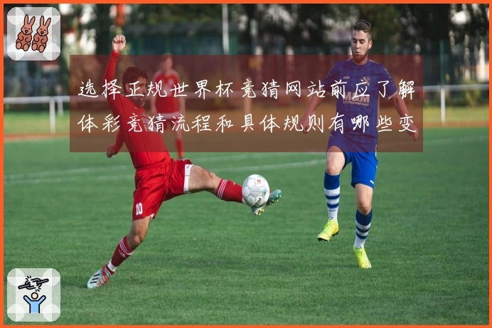 选择正规世界杯竞猜网站前应了解体彩竞猜流程和具体规则有哪些变化