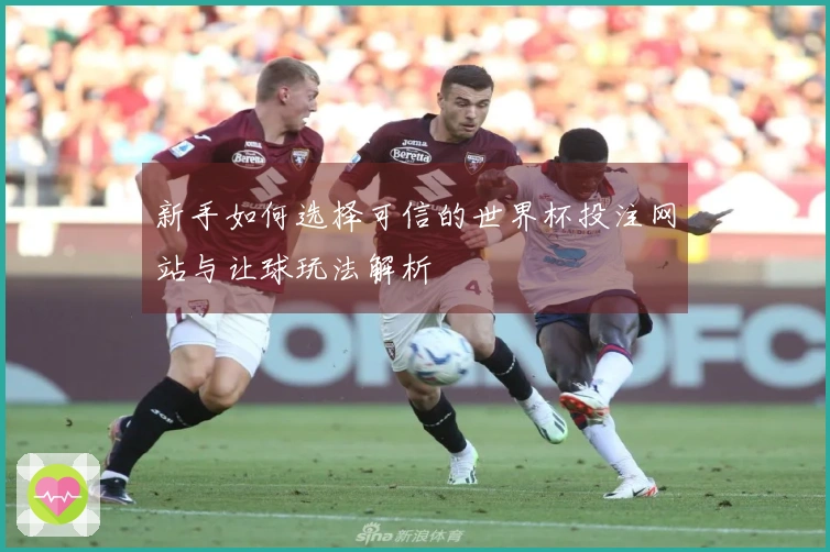 新手如何选择可信的世界杯投注网站与让球玩法解析