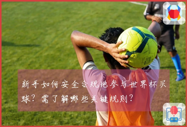新手如何安全合规地参与世界杯买球？需了解哪些关键规则？
