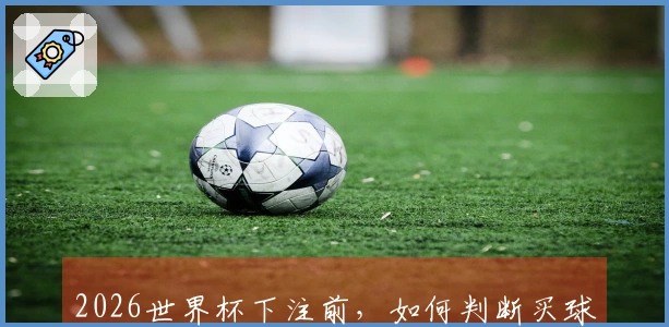 2026世界杯下注前，如何判断买球APP的安全性与靠谱性？