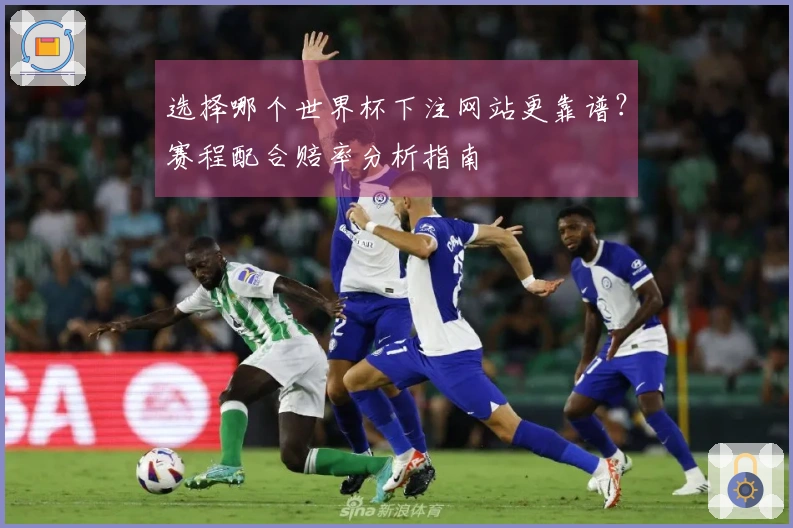选择哪个世界杯下注网站更靠谱?赛程配合赔率分析指南