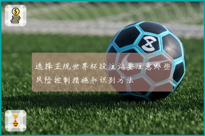 选择正规世界杯投注站要注意哪些风险控制措施和识别方法