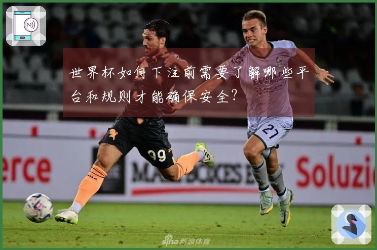 世界杯如何下注前需要了解哪些平台和规则才能确保安全？