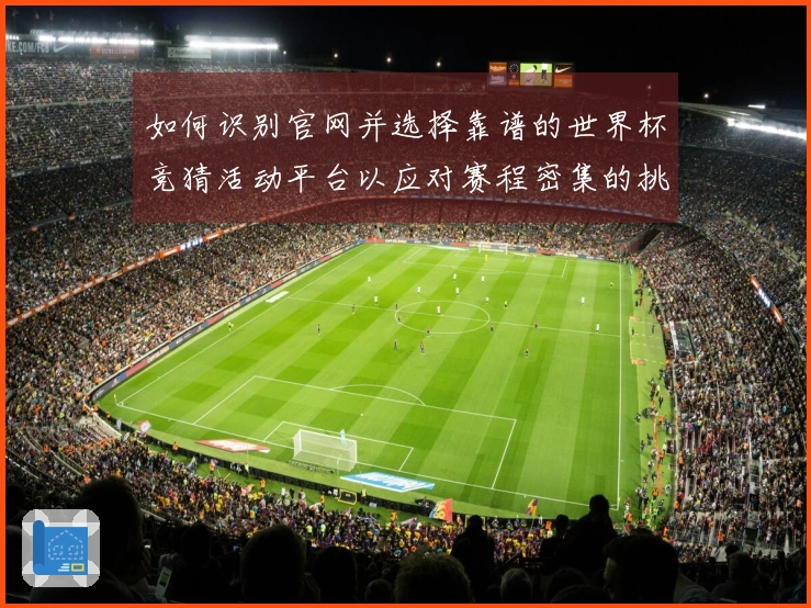 如何识别官网并选择靠谱的世界杯竞猜活动平台以应对赛程密集的挑战