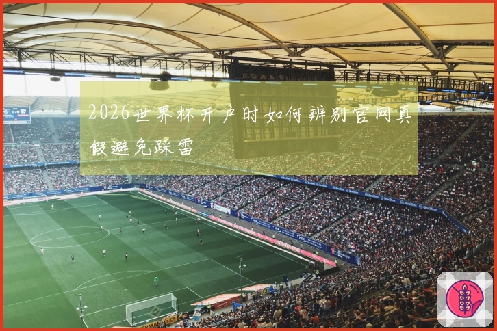 2026世界杯开户时如何辨别官网真假避免踩雷