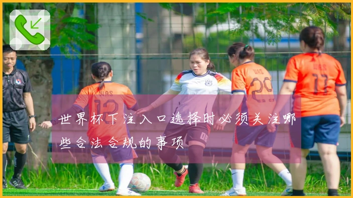 世界杯下注入口选择时必须关注哪些合法合规的事项