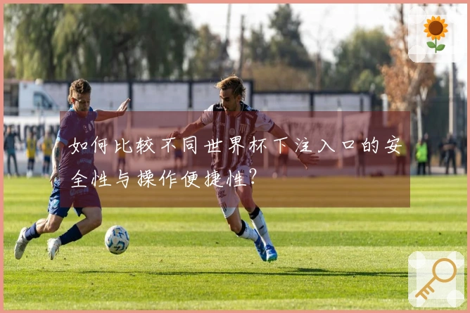 如何比较不同世界杯下注入口的安全性与操作便捷性？