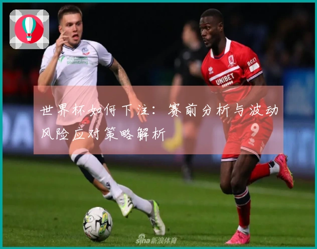 世界杯如何下注:赛前分析与波动风险应对策略解析