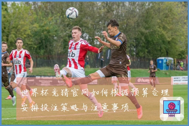 世界杯竞猜官网如何根据预算合理安排投注策略与注意事项