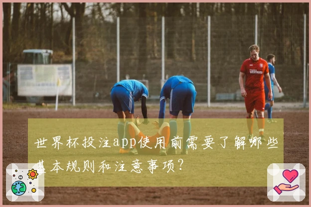 世界杯投注app使用前需要了解哪些基本规则和注意事项？