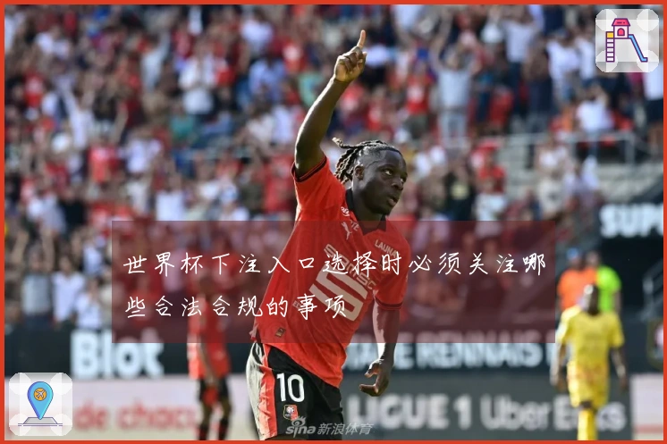 世界杯下注入口选择时必须关注哪些合法合规的事项
