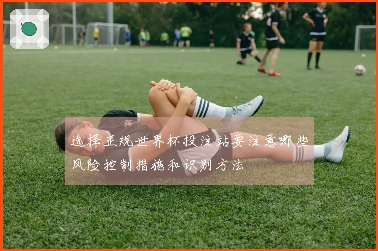 选择正规世界杯投注站要注意哪些风险控制措施和识别方法