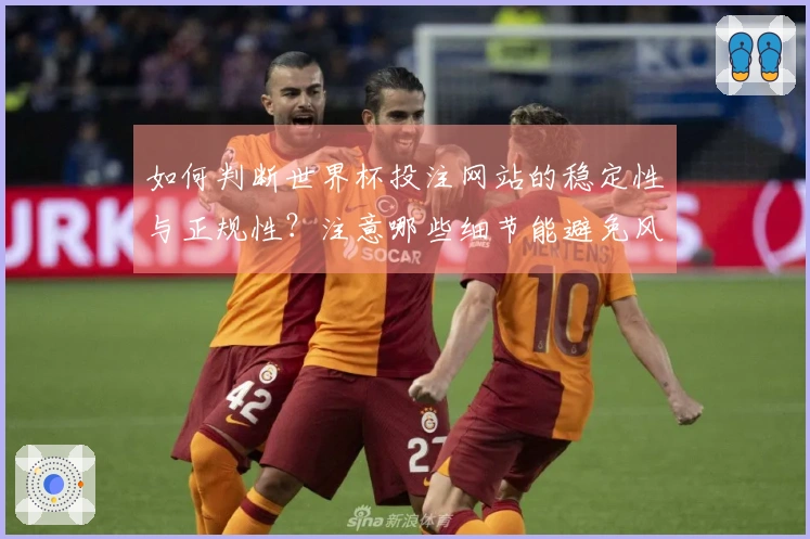 如何判断世界杯投注网站的稳定性与正规性?注意哪些细节能避免风险?