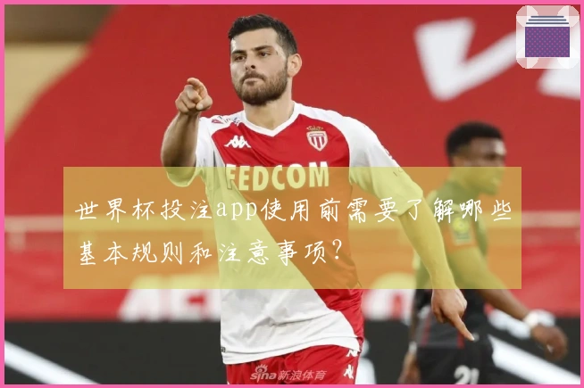 世界杯投注app使用前需要了解哪些基本规则和注意事项？