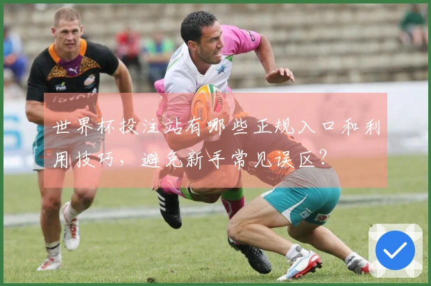 世界杯投注站有哪些正规入口和利用技巧,避免新手常见误区?