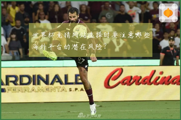 世界杯竞猜网站选择时要注意哪些海外平台的潜在风险?