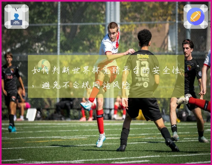 如何判断世界杯竞猜平台的安全性，避免不合规网站风险